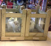 木框钢化玻璃宠物展示笼|宠物店专用狗笼