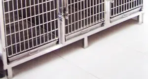 固定底脚式底座