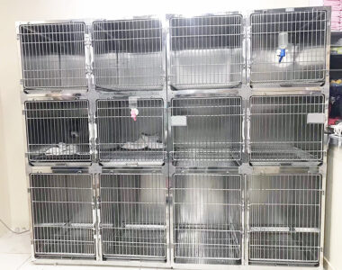 6 door 3 rows sample2sets